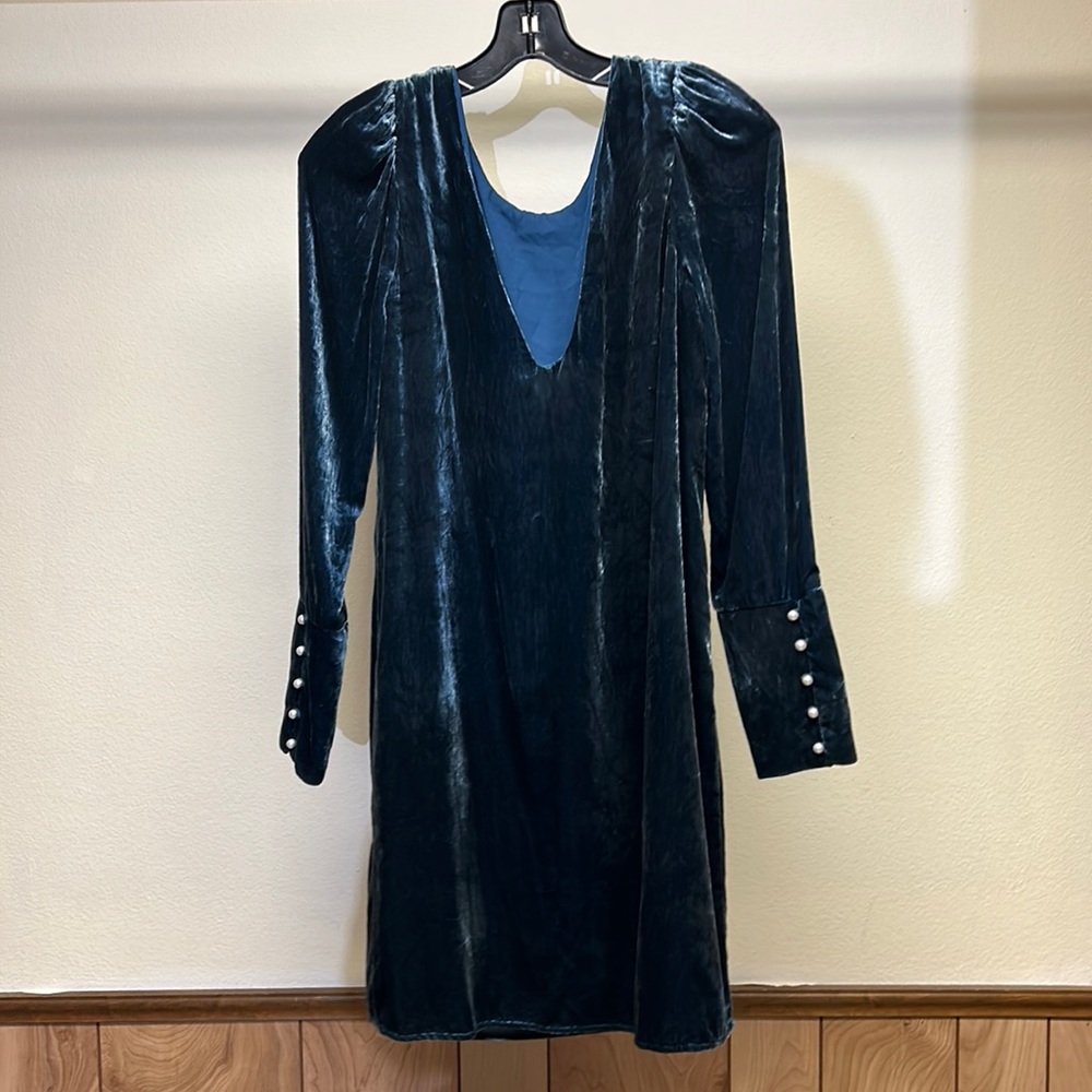 Teal velvet dress with pearl bottons